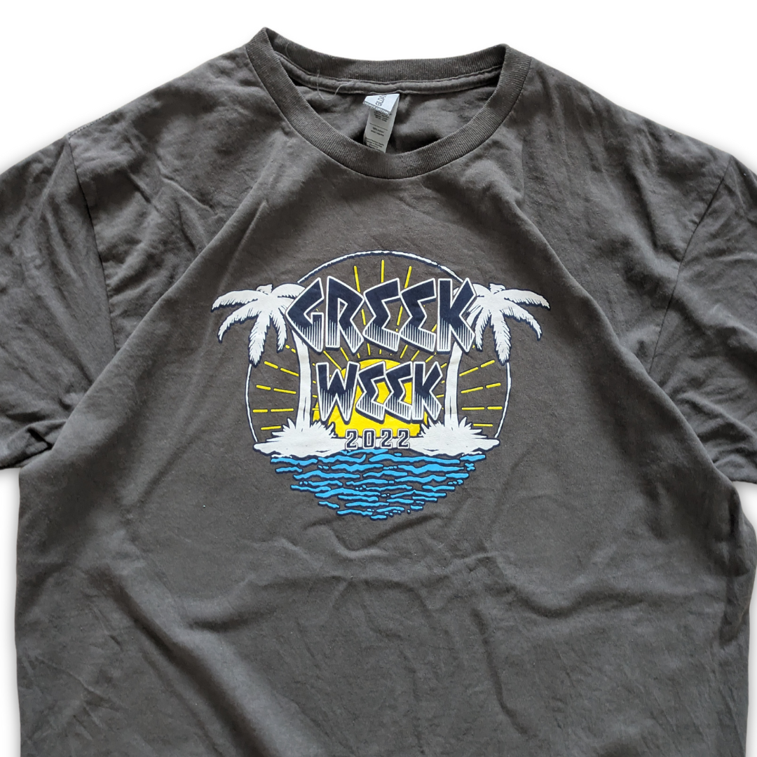 College Georgia Southwestern Greek Week 2022 T-Shirt Dunkelgrau Large