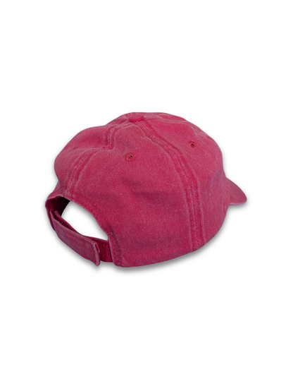 Estes Park Colorado Cap Rot